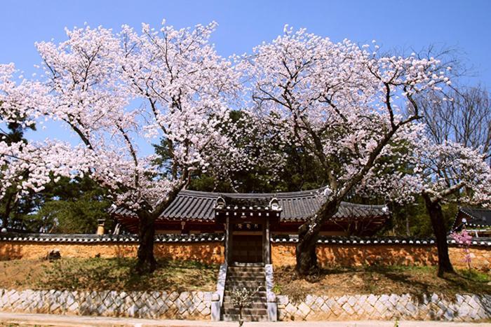 Villa Wolamjae Gyeongju Esterno foto